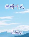 神婿叶凡免费下载