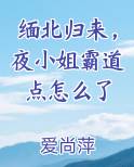 缅北归来，夜小姐霸道点怎么了原著小说