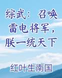 综武：召唤雷电将军，朕一统天下全文免费阅读