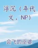 浮沉（年代文，NP）