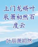 上门龙婿叶辰萧初然百度云
