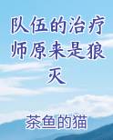 队伍的治疗师原来是狼灭