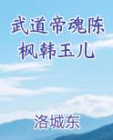 武道帝魂陈枫韩玉儿