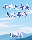 平平无奇追夫火葬场