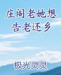 庄阁老她想告老还乡