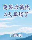离婚后偏执A火葬场了电子书