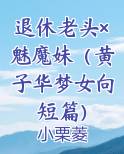 退休老头×魅魔妹（黄子华梦女向短篇）排行榜完结版
