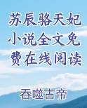 苏辰骆天妃小说全文免费在线阅读