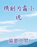 镌刻为霜小说