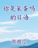 你是笨蛋吗的日语