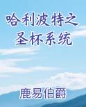 哈利波特之圣杯系统推荐小说