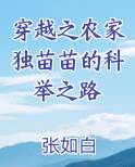 穿越之农家独苗苗的科举之路