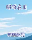 昭昭在目小说免费阅读