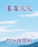 暮霭沉沉小说排行榜