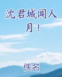 沈君城闻人月！
