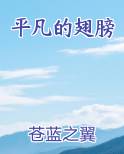 平凡的翅膀