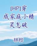 [HP]穿成家庭小精灵怎破