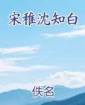 宋稚沈知白