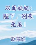 双面妖妃：陛下，别来无恙！