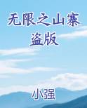 无限之山寨盗版